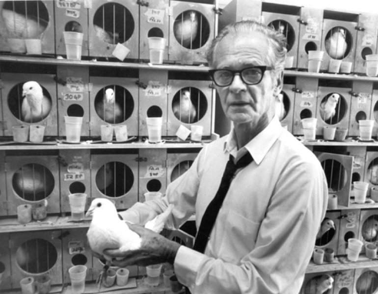 Experimentos de B.F. Skinner