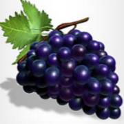 81 Wins: Uvas