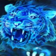 9 Tigers: Tigre azul