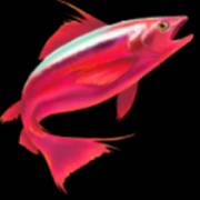 Amazing Catch Power Combo: Pescado rojo