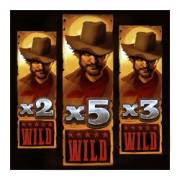 Arizona Heist: Hold and Win: Salvaje