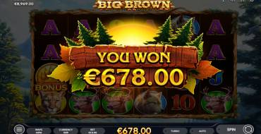 Big Brown: Ganancias