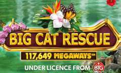 Jugar Big Cat Rescue Megaways