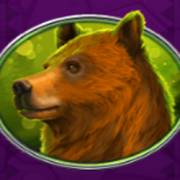 Bison Bonanza: Oso