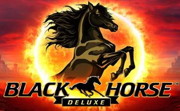 Black Horse Deluxe tragamonedas online