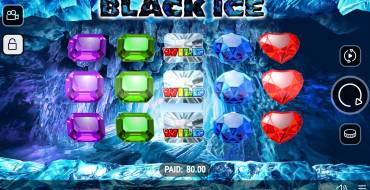 Black Ice: Interfaz