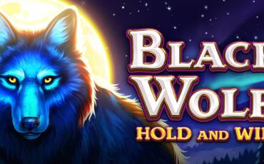 Black Wolf tragamonedas online