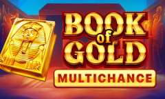 Jugar Book of Gold Multichance