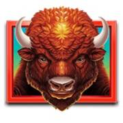 Buffalo Bucks: Bisonte