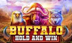 Jugar Buffalo Hold And Win