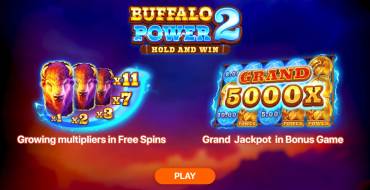 Buffalo Power 2: Hold and Win: Características únicas