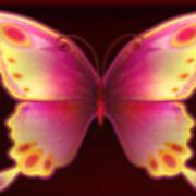 Butterfly Lovers: Tiradas gratuitas