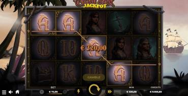 Calico Jack Jackpot: Diseño