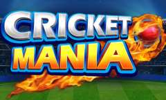 Jugar Cricket Mania