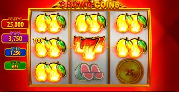 Crown Coins: Interfaz