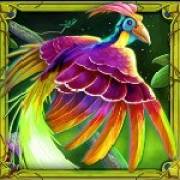 Crystal Vault: Pavo real