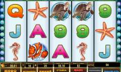 Jugar Dolphin Reef