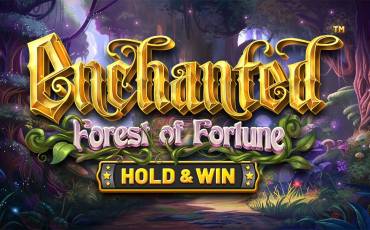 Enchanted: Forest of Fortune Hold&Win tragamonedas online