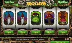 Jugar Enchanted Woods