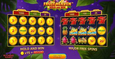 Fruit Heaven Hold And Win: Características únicas