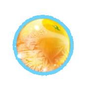 Fruits on Ice: Naranja