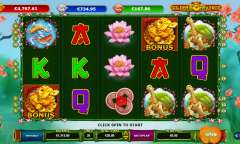 Jugar Golden Money Frog