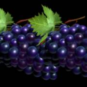 Great 27: Uvas