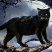 Halloween: Egypt Quest: Gato negro