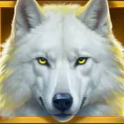 Howling for Gold: Lobo