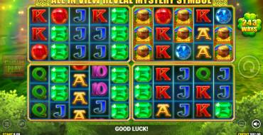 Luck O` The Irish: Mystery Ways Fortune Play: Juegos de bonificación