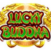 Lucky Buddha: Comodín, Bonus Comodín