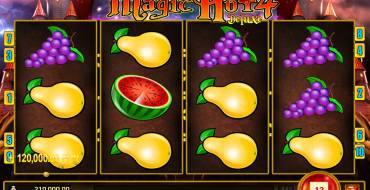 Magic Hot 4 Deluxe: Ganancias