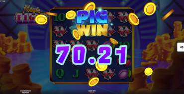 Magic Piggy: Ganancias