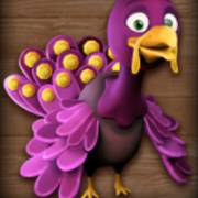 More Turkey: Pavo morado