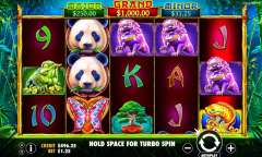 Jugar Panda’s Fortune