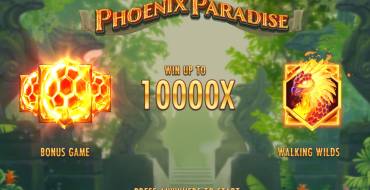 Phoenix Paradise: Interfaz