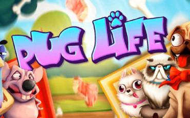 Pug Life tragamonedas online