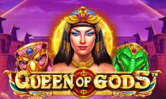 Jugar Queen of Gods