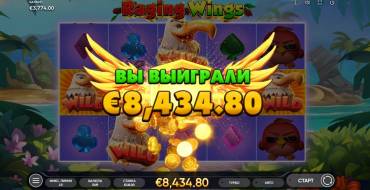 Raging Wings: Ganancias