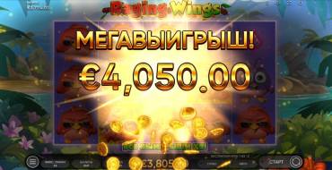 Raging Wings: Ganancias