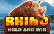 Rhino Hold and Win tragamonedas