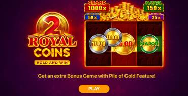 Royal coins 2: Hold and Win: Características únicas