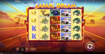 Safari Dream: Interfaz