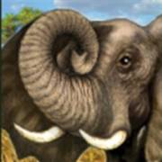 Savanna`s Life: Elefante