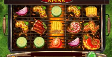 Sizzling Spins: Interfaz