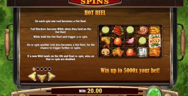 Sizzling Spins: Juegos de bonificación