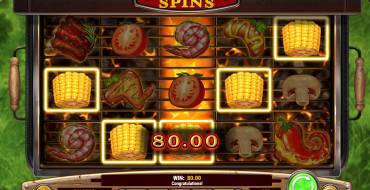 Sizzling Spins: Ganancias