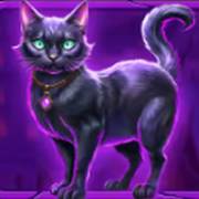 Spooktacular Bonanza: Gato