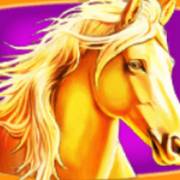 Stallion Kingdom: Caballo