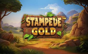 Stampede Gold tragamonedas online